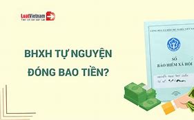 Đóng Tiền Bảo Hiểm Y Tế Tự Nguyện