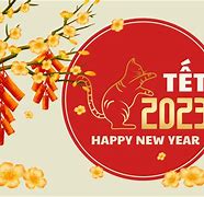 Tết Ở Mỹ 2023 Tai My Là Bao Nhiêu Tuổi