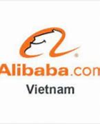 Tracodi Alibaba Việt Nam Tuyển Dụng 2024 Linkedin Account